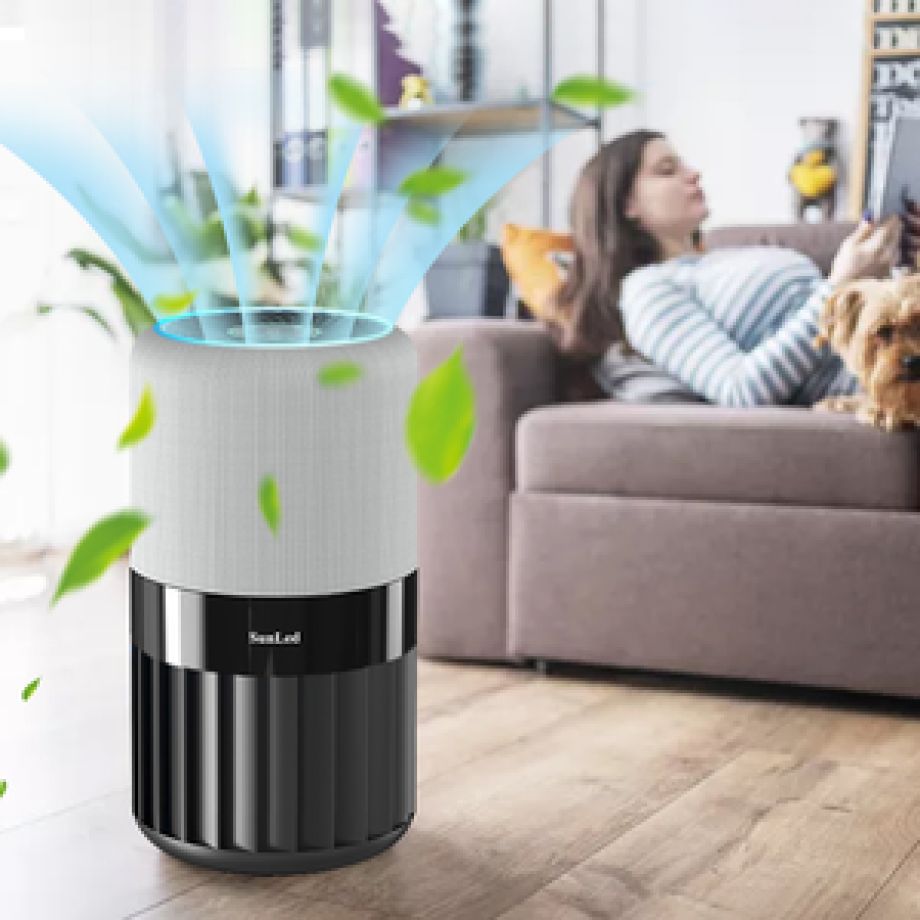 Household Purificador De Aire Cleaning