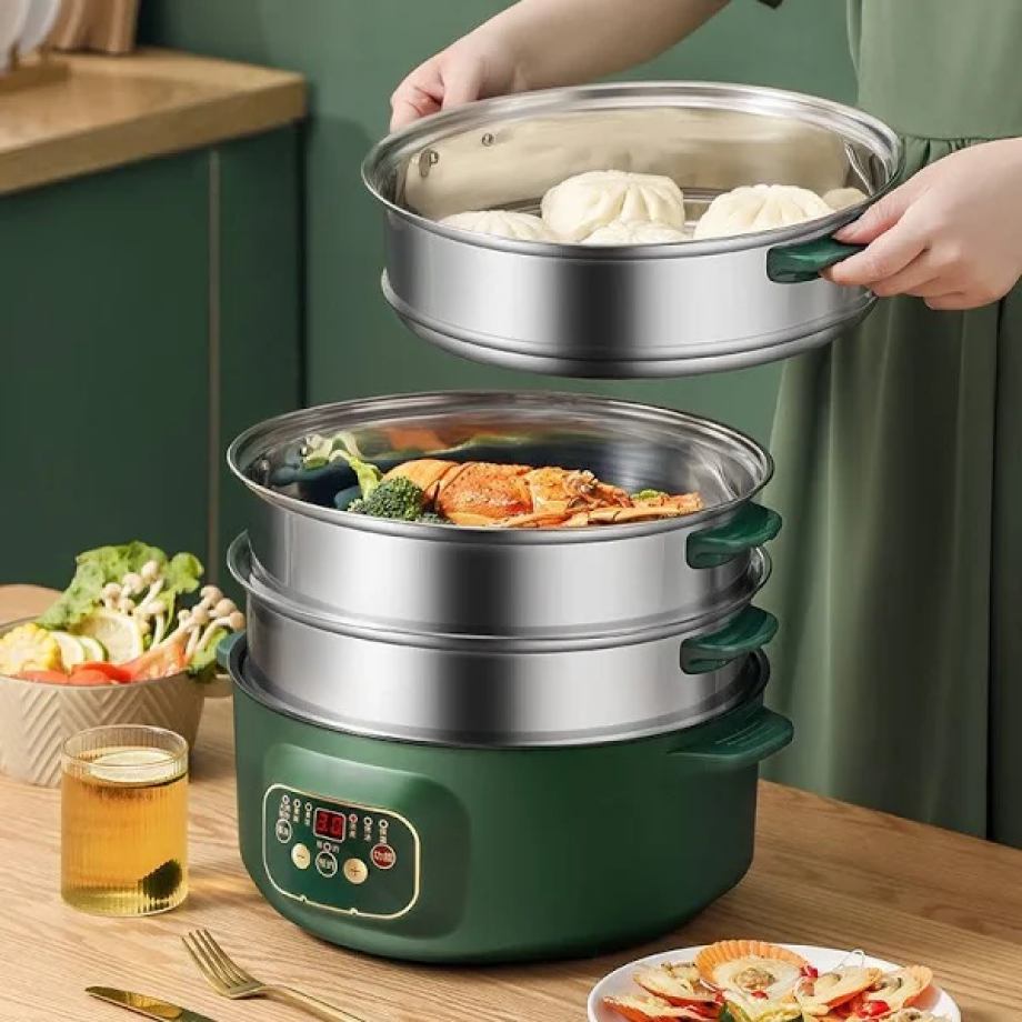 Multi-Functional Electric Steamer